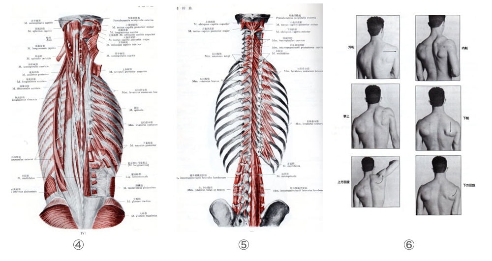 線維筋痛症の痛みの原因は何ですか?