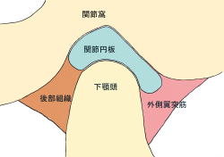 開口障害　顎関節症　1 沖縄県那覇市